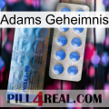 Adams Secret 40